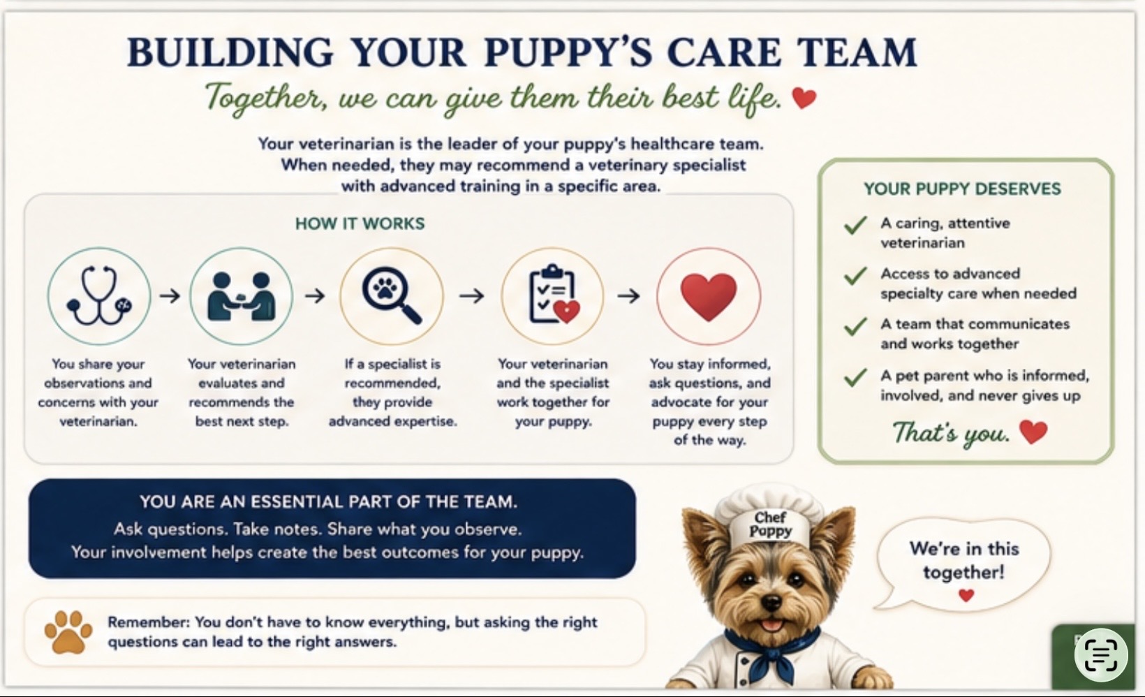 Building a puppy care team with family and veterinary partnership